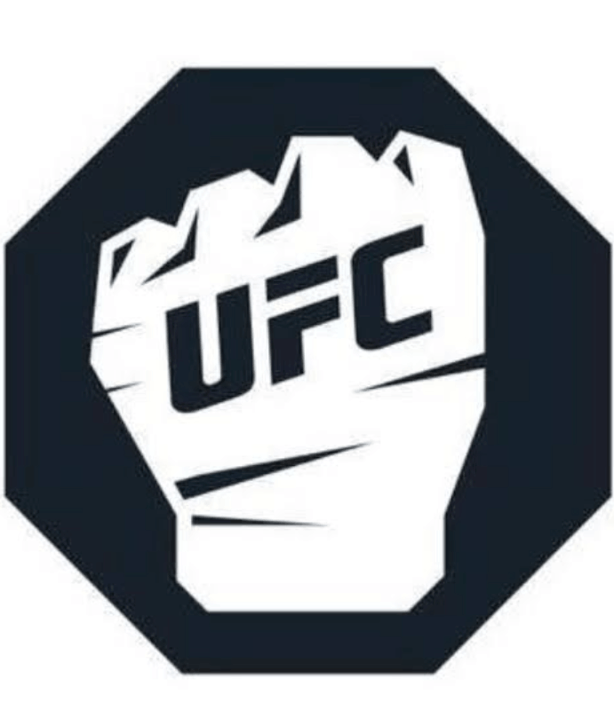 MMA UFC Pin Up Chile
