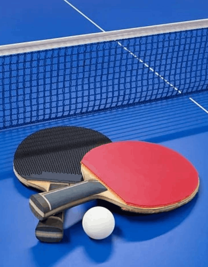 Tenis de mesa Pin Up Chile